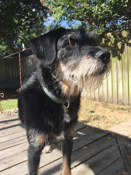 Gus