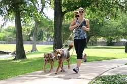 Leash Lead 'n' Loop
