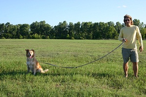Used as a Normal Leash
