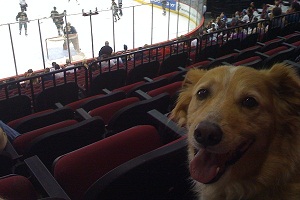 Sporting Event